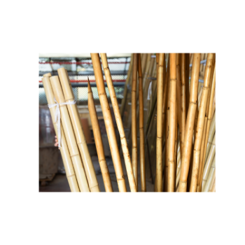 Best Choice Strong Factory Natural Bamboo Poles Straight for Construction For Cheap Price Natural Straight Bamboo Pole 1