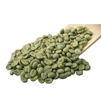 Bulk Green Coffee Beans High Quality Organic Robusta Coffee Beans Green Coffee Bean Price OEM ODM Agriculture Made in Vietnam