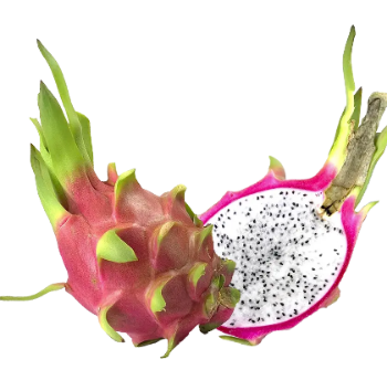 Rich Fiber Fresh White Dragon Fruit Sweet Export Bulksales Using For Food Carton Box Wooden Packaging Vietnam Manufacturer 2