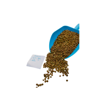 Green Coffee Bean With Organic Reasonable Price Agricultural Products Using For Food Good Quality Packing In Pack Viet Nam 3