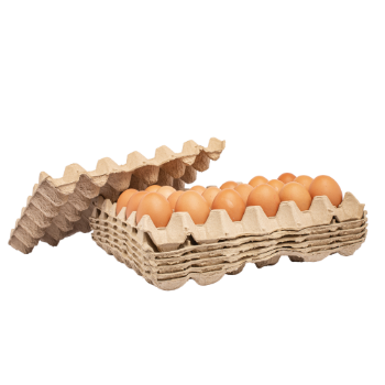 Best Price For Wholesale Chicken Pulp Egg Cartons 100% Recycled Materials Bulk High Quality Egg Tray Customized Cells 5