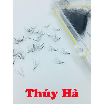 Thuy Ha Eyelashes Extension Mi Fan 6D SOLE Thickness 0.07 - MI CAMELIA 6D 1000 fans OEM ODM Service extension tool fan  5