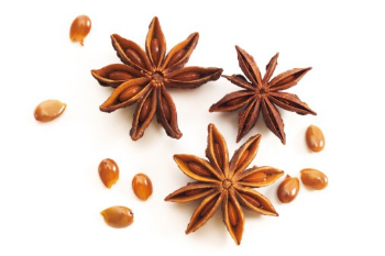 Dried Star Anise High Quality Autumn For Seasoning 100% Pure Star Anise High Quality Made In Vietnam Manufacturer Good Price 4