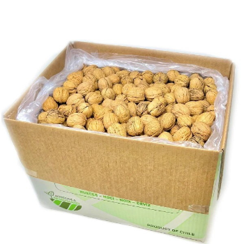 High Quality Organic Bulk Nuts Wholesale Premium Customized Packaging Walnuts Raw Walnuts Kernels From Vietnam Manufacturer 8