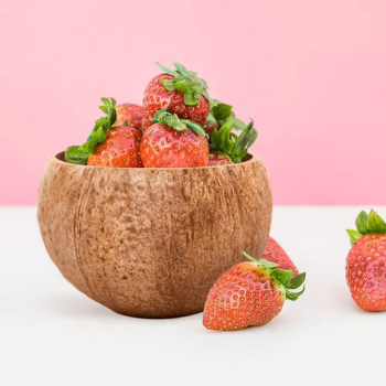 Best Seller Hot Sale Personalize Coconut Salad Sell Bowl For Healthy Meal High Quality Vietnam Supplier WHolesale 6