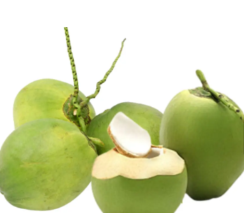Wholesale Price Fresh Green Coconut Premium Quality for Drinking and Cooking Viet Nam Tropical Fruit