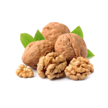 Best Price Walnuts Raw Walnut In Shell Dry Fruits Walnuts Kernels Nuts & kernels Rich Proteins Nuts From Vietnam Manufacturer 4