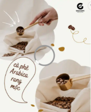 Roasted Arabica Coffee Beans High Quality Medium Roast Fruity, Flowery, Balanced Arabica Coffee Bean Price For Sale