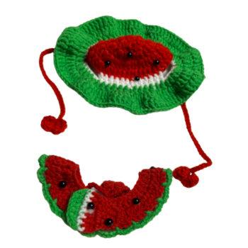 Dog Cat Crochet Collars Awesome Pet Hat Clothes 2023 New Design 4W Pet Relax And Safe Cheap Price Durable Vaccum From Vietnam 6