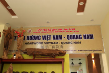  DAI BINH ECOLOGICAL COOPERATIVE