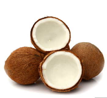 Dried Coconut From Vietnam 100% Fresh Natural Tropical Style Coconut Top Selling Brand Supplier Cheap Price Low MOQ 4