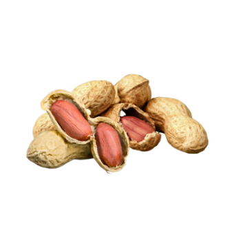 Peanuts Low Calorie Delicious Food Vinagreen Tropical & Sub-Tropical Fruit Packing In Carton/ Mesh Made In Vietnam Bulk 3