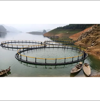 Floating Fish Cage High Quality Secure Aquatic Research Center Floating Round Cage Made In Vietnam Manufacturer 2