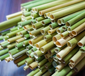 Environmentally Friendly Dried grass straws 20cm Natural organic grass straws zero waste for disposable straw