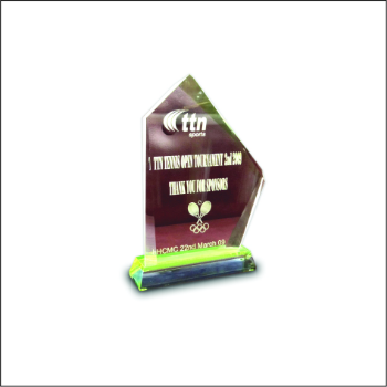 Acrylic Awards Trophy High Specification Special Custom Business Gift Customized Packing Vietnam Manufacturer 1