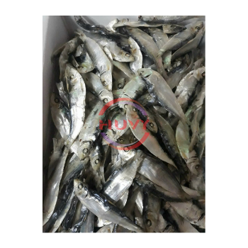 Wholesale Indian Mackerel Nature Fast Delivery Herring Fish Dry Herring Sea Food Factory Price OEM Service Made In Vietnam 2