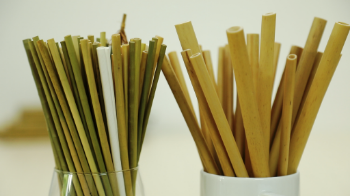 Dried eagle grass straws 15cm Eco Friendly Disposable 100% Nature Drinking Straws 1