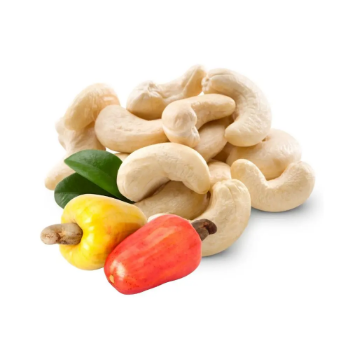 Cashew Nuts SW, LP, SW, DW, SP Fresh, Flavorful, and Packed with Micronutrients, Ideal for Health-Conscious Consumers Worldwide
