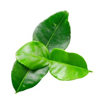 Fruit and Vegetables High Quality Top Selected Frozen Lime Leaves Customized Packaging Made in Vietnam Manufacturer 1