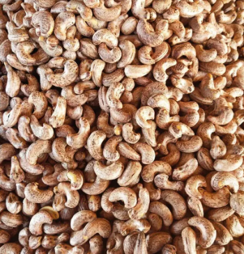 Broken Cashew LP Professional Team Export Food High Protein Customized Packaging From Vietnam Trading 8