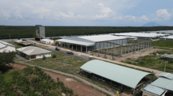 QL FARMS (TAY NINH) LIABILITY LIMITED COMPANY