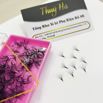 20D Hand Fan Thickness 0.03 Curvature (C, D) box of 500 fans mi extension tool fan Thuy Ha Eyelashes Extension OEM ODM Service  3