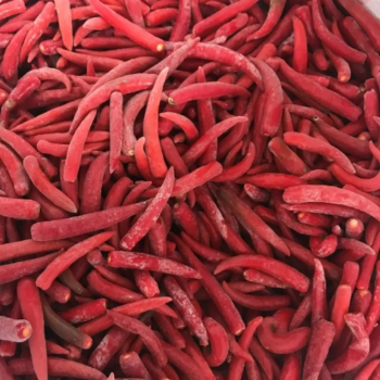 Cheap Price Vietnam Manufacturer Frozen Hot Red Chili Peppers Single Spice Herb in Stock