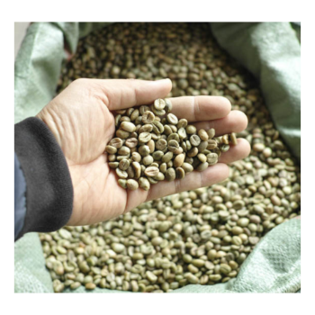 Competitive Price Robusta Arabica Whole Bean to Cup Coffee Bulk Packed Raw Coffee Beans Wholesale Manufacture