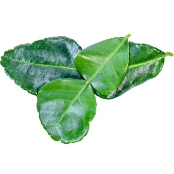 Fruit and Vegetables High Quality Top Selected Frozen Lime Leaves Customized Packaging Made in Vietnam Manufacturer 8