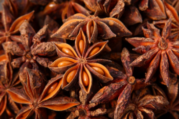 Natural Star Anise High Quality Dried Star Anise For Seasoning 100% Pure High Quality Made In Vietnam Manufacturer Good Price 5