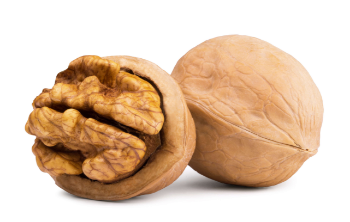 Best Selling Wholesale Walnuts Raw Walnut In Shell Walnuts Kernels Customized Packaging For Sale From Vietnam Manufacturer