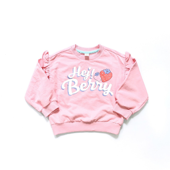 Unisex Sweater Wholesaler Girls Sweatshirts High Quality Washable Baby Girl Industrial Sewing Made In Vietnam Manufacturer 2