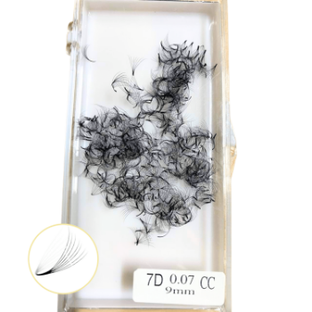 Fast Delivery 10D Premade Fans Eyelash Eyelash Extensions Using For Daily Makeup Tray Packaging Vietnam Lovely Premade Fans 2