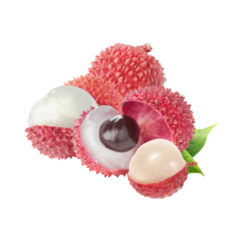 Fresh Lychee Fresh All Size Raw Crunchy Sweet Ingredients Vinagreen In Carton/ Mesh Vietnam Manufacturer 1