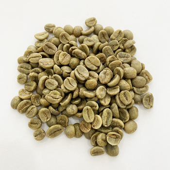 All Size Raw Coffee Green Beans Good Scent Drinks Iso Brc Haccp Halal Customized Packaging Vietnamese Manufacturer 6