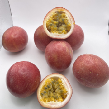 Passion Fruit Plant For Sale Fast Delivery Natural Fresh Organic Passion Fruits Making Juice Cakes Fresh Fruit Packaging Box VietNam Manufacture 7