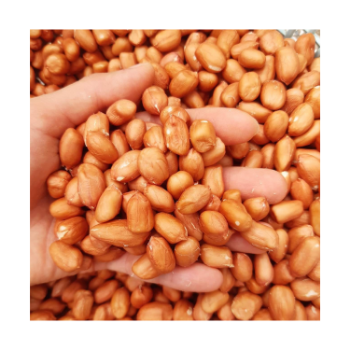 Good Quality Peanut Kernel 2024 Green Vina Ready To Use Oem Roasted Vietnam Manufacturer 7