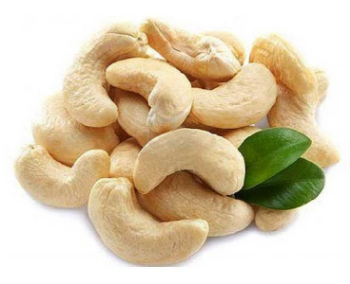 Cashew Nut All Size Raw Dried High Quality Premium Grade Roasted Cashew Accept Customized Packing Vietnam Manufacturer 1