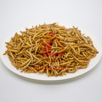 Mealworms Dried Fast Delivery Export Animal Feed High Protein Customized Packaging Vietnam Manufacturer 3