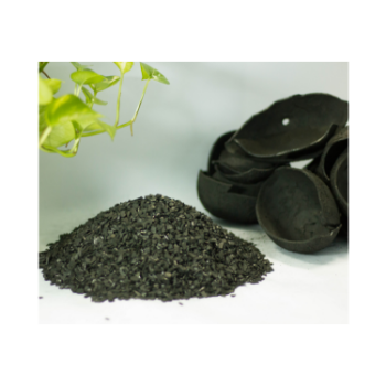 Activated Carbon Coconut Shell Fast Delivery Large Voids Water Purification Gmp Vilas Iso Halal Gmp Trabaco In Vietnam 4