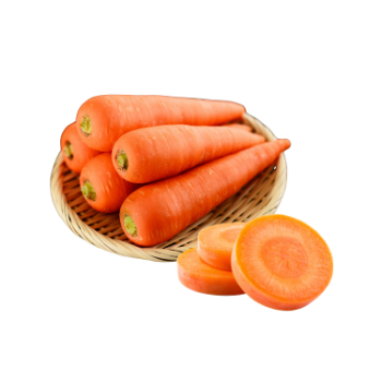 Fresh Carrots Low Calorie Delicious Food Vinagreen Tropical & Sub-Tropical Fruit Fresh In Carton/ Mesh Vietnam Manufacturer