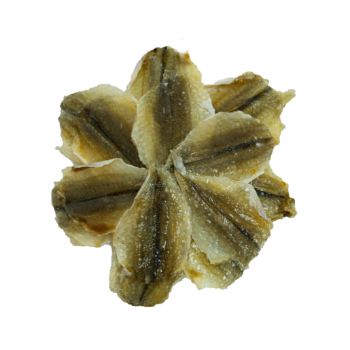 Dried Salted Fish Yellow Croaker Fish Competitive Price Export Ly Huynh Tasty Vacuum Pack Vietnam Manufacturer 2