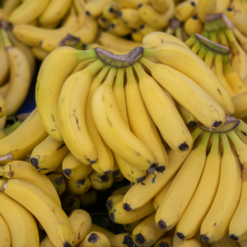 Fresh Banana Fresh Good Choice Good Health For Cooking  Tasty Food Vinagreen Customized Packing From Vietnam Bulk 4