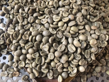 Arabica FW L3 S18 Coffee Raw Coffee Beans Hot Selling Purity Using For Making Food And Beverage No Preservatives 6