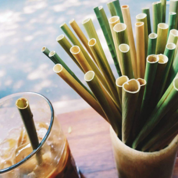 Organic hay straw wheat straw biodegradable disposable straws Manufacturer from VietNam, best selling amazon 5