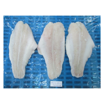 White Pangasius Fillet Good Choice FROZEN For Cooking HACCP Certification Customized Packing Vietnam Manufacturer 1