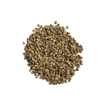Raw Coffee Beans Robusta Coffee S18 - High ripening rate First Class Grade Good Price Natural No Preservatives Custom Packing From Vietnam Company 