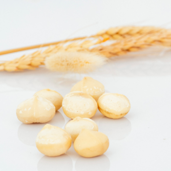 Macadamia Nuts Raw Organic High Quality ISO Certification Sesan Gia Lai Brand From Viet Nam 2