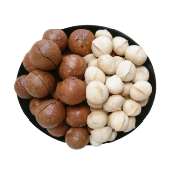 Good Price Macadamia Nut 2025 Green Vina Ready To Use Oem Roasted Made In Vietnam Manufacturer
