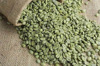 Attractive Flavor Coffee Green Beans All Size Raw Good Scent Drinks Customized Packaging Vietnamese Manufacturer 6